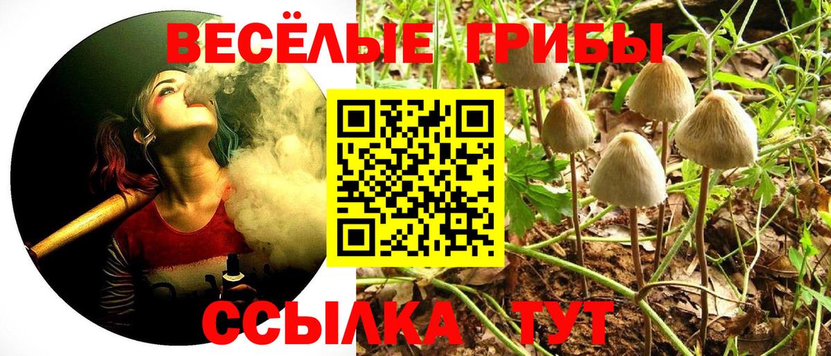 Галлюциногенные грибы Magic Shrooms Рыбинск